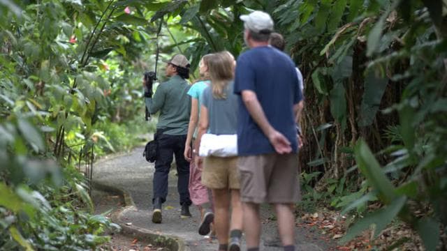 La Fortuna: Sloth & Wildlife Nature Walk — Guided tour and outdoor activity