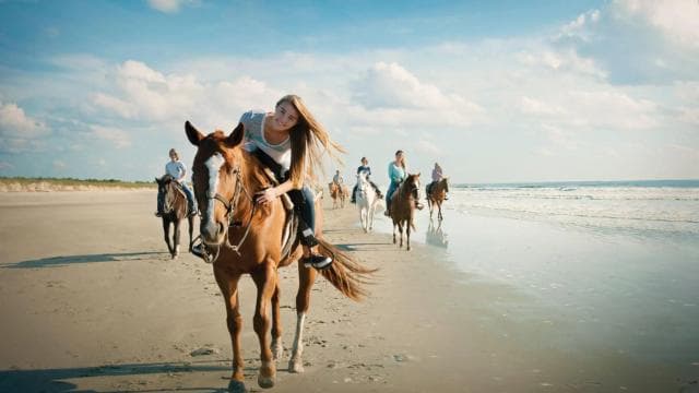 Tamarindo: Horseback to Tamarindo Beach - Guanacaste, CR — Guided tour and outdoor activity