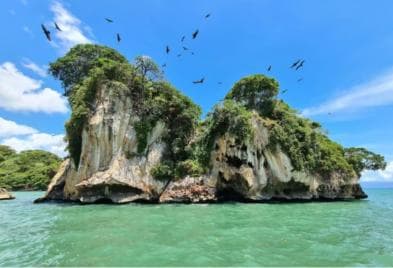 Los Haitises: Hiking and Kayaking natural pools Tour & Lunch — Guided tour and outdoor activity