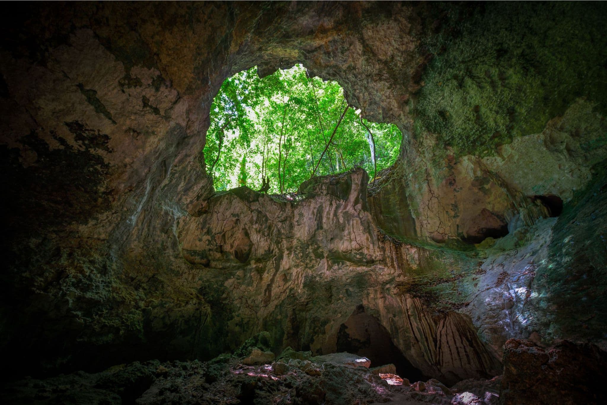 Sabana de la Mar: Bootstour Los Haitises + Yanigua-Wasserfälle — Guided tour and outdoor activity
