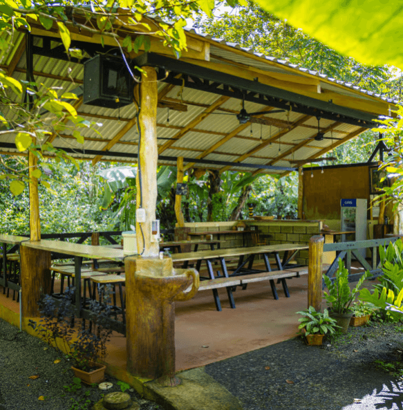 La Fortuna: Sloth Tour in Arenal Volcano Park & Local Snack — Guided tour and outdoor activity