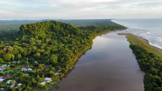 Tortuguero: Tour in the Tortuguero hill (dormant volcano) — Guided tour and outdoor activity