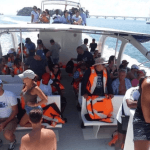 From Punta Cana: Samana Cayo Levantado Whales — Guided tour and outdoor activity