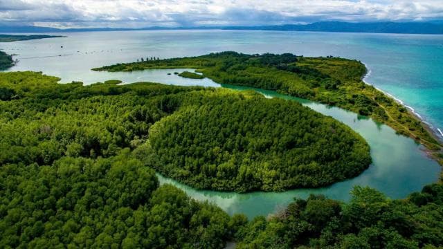 Puerto Jimenez Historic Walking Tour — Guided tour and outdoor activity