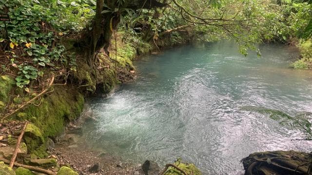 Rio Celeste, explore the rainforest and great waterfall — Guided tour and outdoor activity