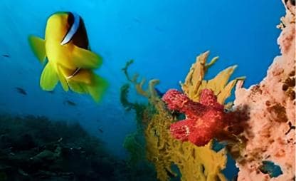 El Dorado Water Park Full Entry and Transfer from Punta Cana — Guided tour and outdoor activity