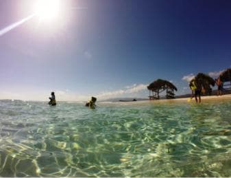Cayo Arena: Paradise Island and Mangroves Tour — Guided tour and outdoor activity