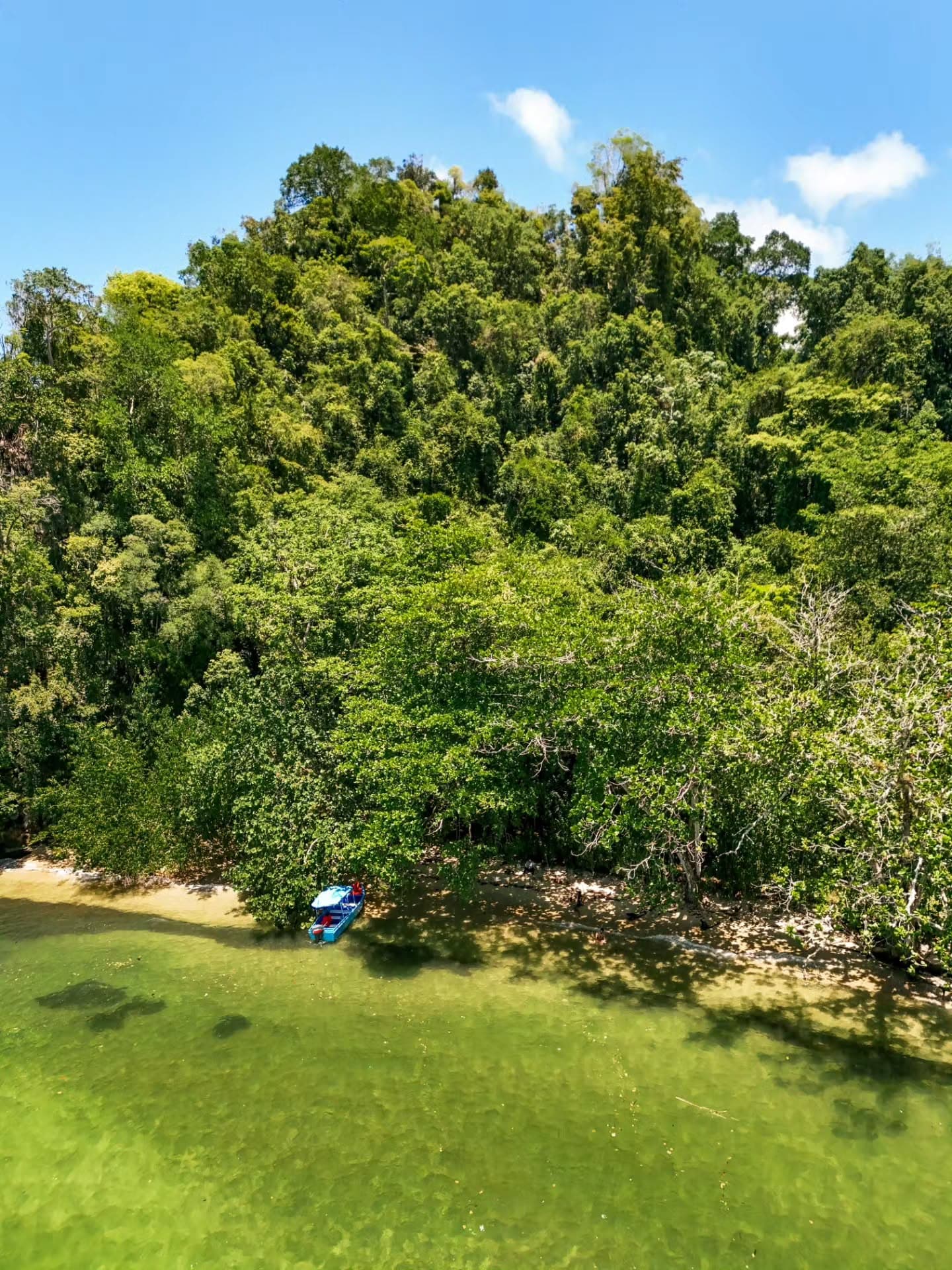 Los Haitises Tour from Santo Domingo, Samaná or Sabana de la Mar. Full Day Trip. — Guided tour and outdoor activity