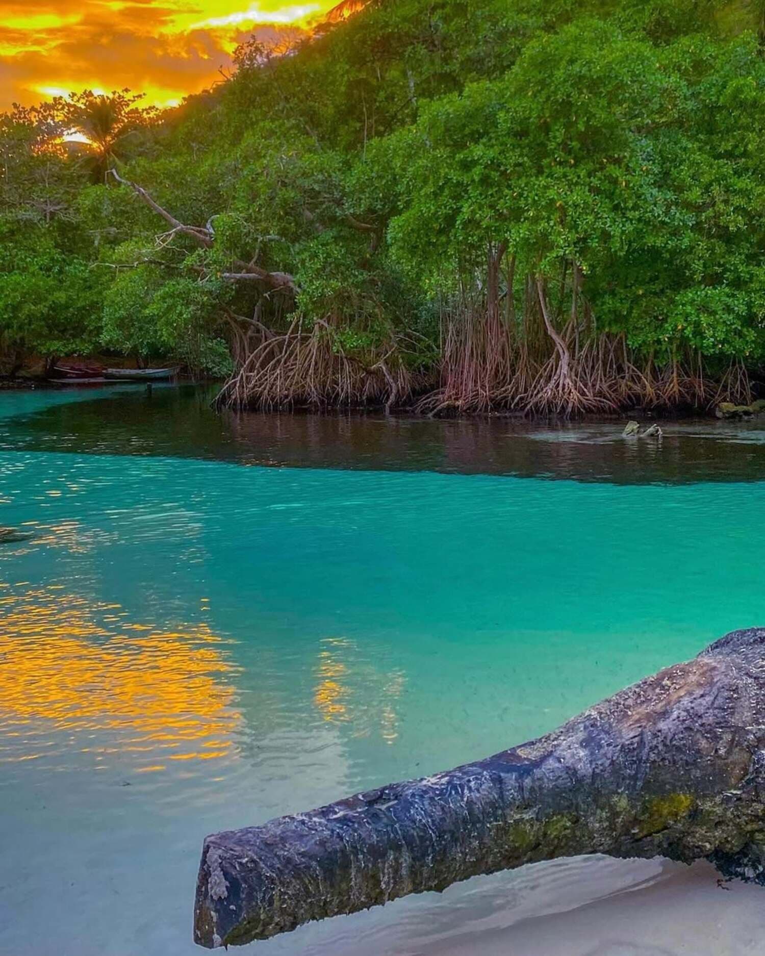 El Limón Waterfall Hiking & Playa Rincón Beach Tour from Las Terrenas — Guided tour and outdoor activity