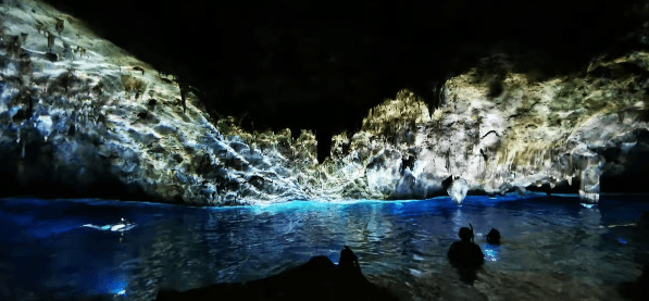 Bayahibe: National Park Jungle Walk & Snorkeling in Cenotes — Guided tour and outdoor activity