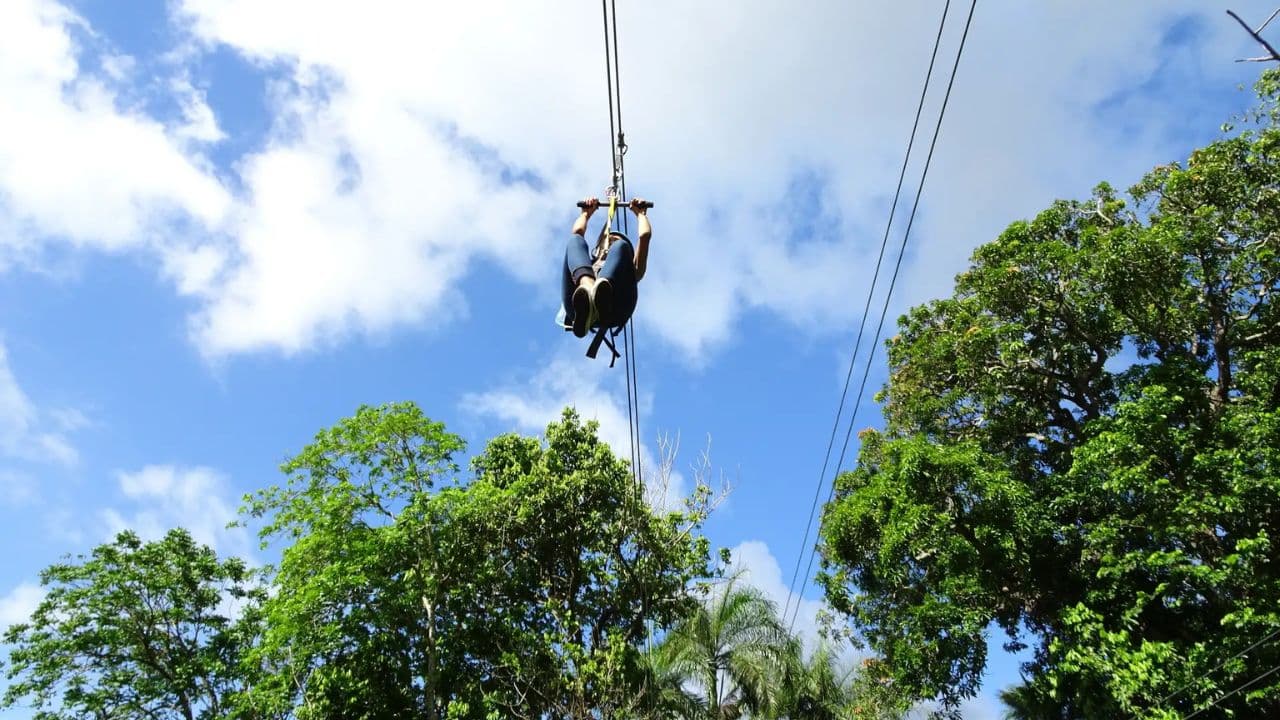 Ride N Zip Adventure in Puerto Plata — Guided tour and outdoor activity