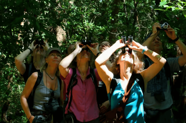La Fortuna: Arenal Volcano, Lunch, & Hotsprings Morning Tour — Guided tour and outdoor activity