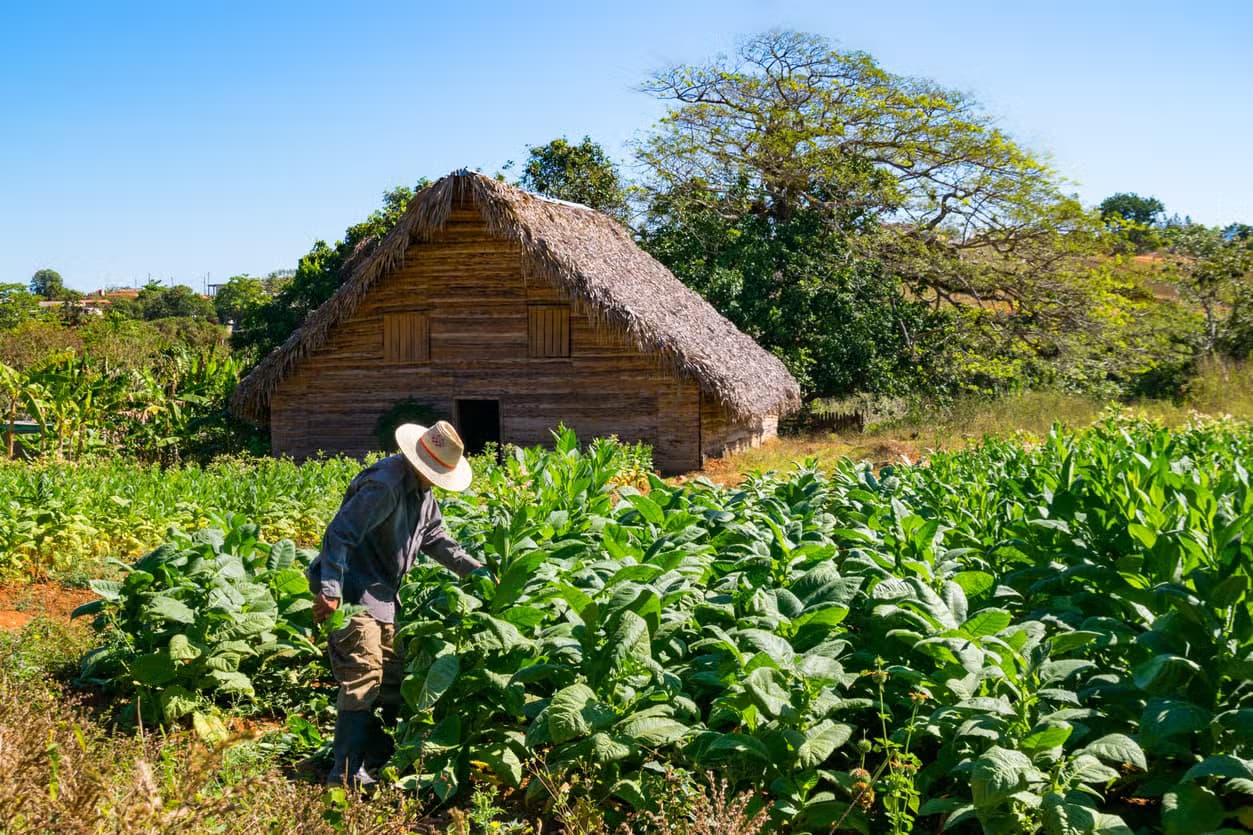 Valle de Viñales 2-Day Excursion — Guided tour and outdoor activity