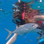 Sosua Sunset party boat And Snorkeling — Guided tour and outdoor activity