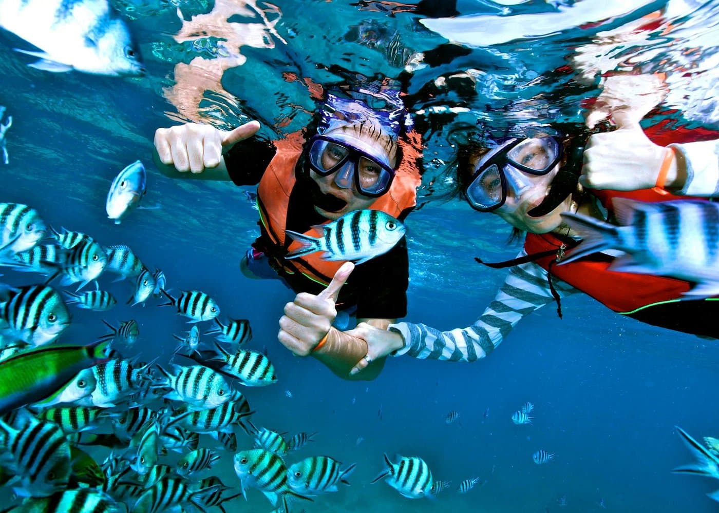 Cayo Levantado at Bacardi Island including Boat transfer, Lunch and Snorkeling — Guided tour and outdoor activity