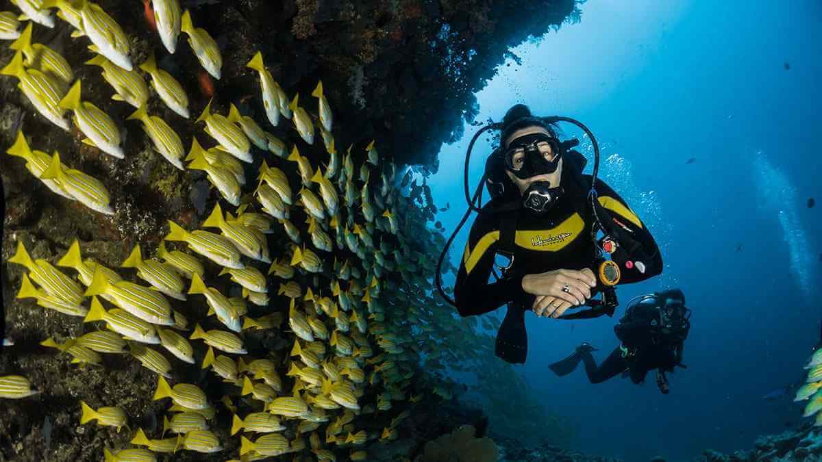 Bayahibe - Cenotes Scuba Diving — Guided tour and outdoor activity