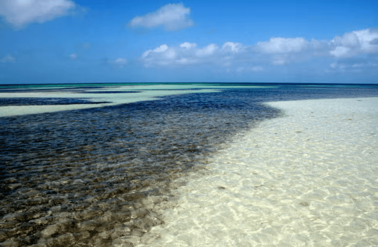 Cayo Blanco Catamaran Trip — Guided tour and outdoor activity