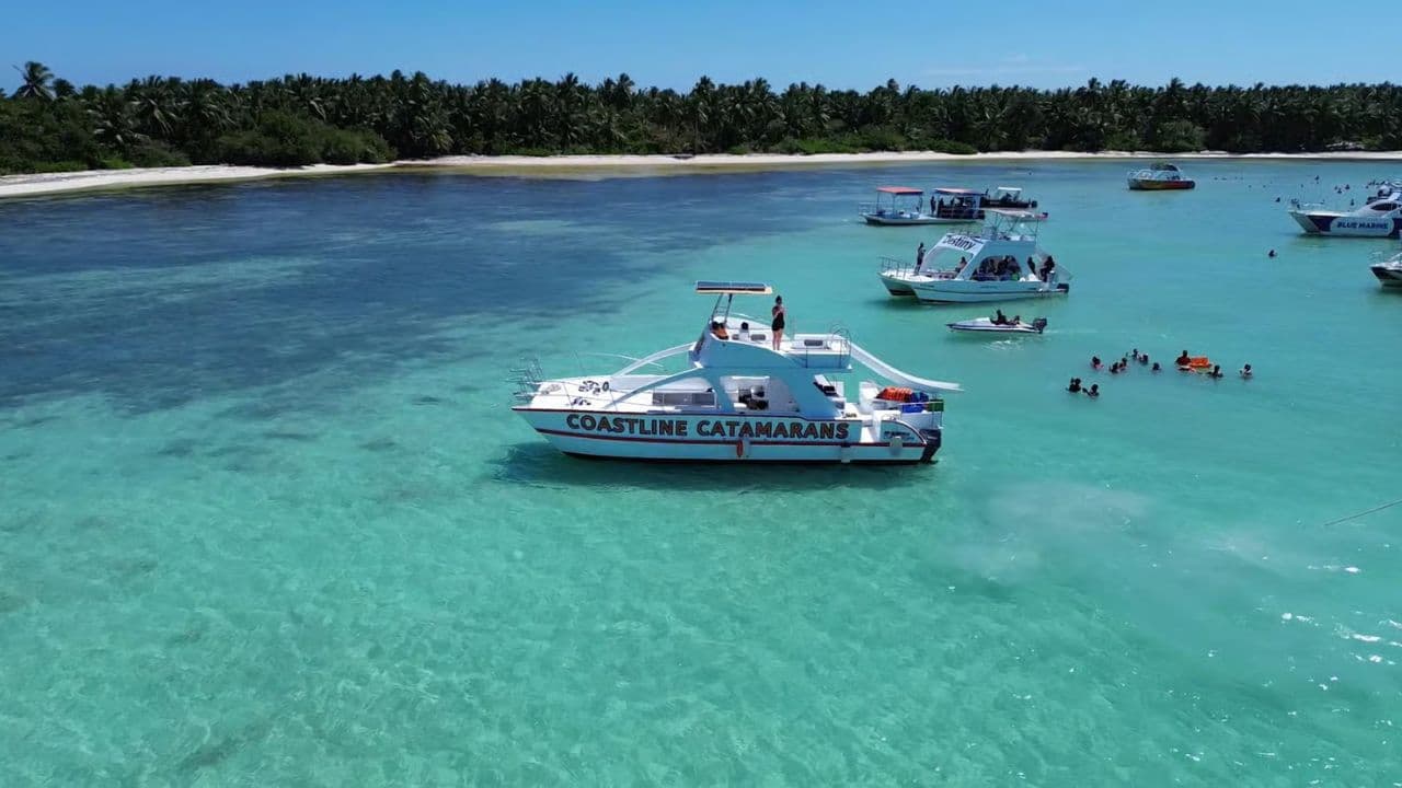 Punta Cana :Catamaran with Open Bar and Dolphin and Stingray Watching — Guided tour and outdoor activity