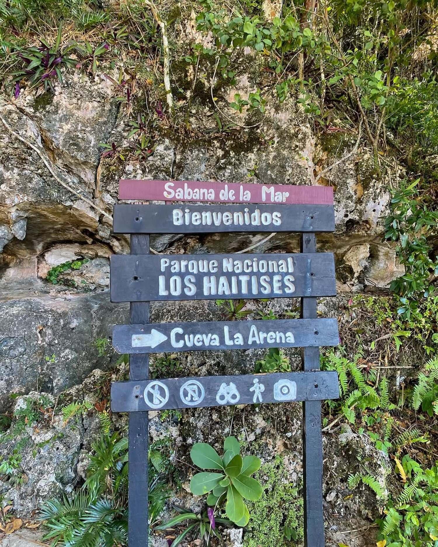Los Haitises Half-Day Boat Tour from Punta Cana — Guided tour and outdoor activity