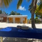 Saona Island: Small Group Virgin Beaches Cruise Day Trip — Guided tour and outdoor activity