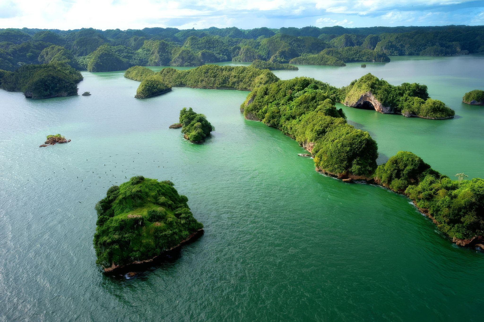 ? Los Haitises National Park Tour: Complete Guide (Boat, Caves & Mangroves)