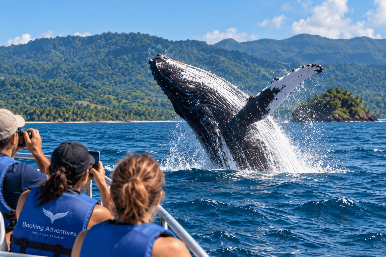 Stagione 2027 di Samaná Whale Watching: il periodo migliore per vedere le megattere