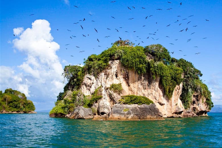Los Haitises Boat Tour | Caves, Mangroves & Wildlife