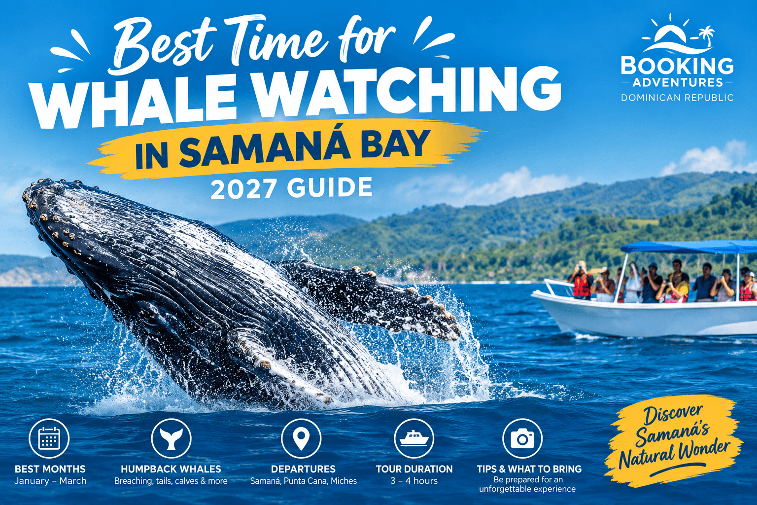 Best Time for Whale Watching in Samaná Bay: 2027 Guide - Visita Haitises Guide