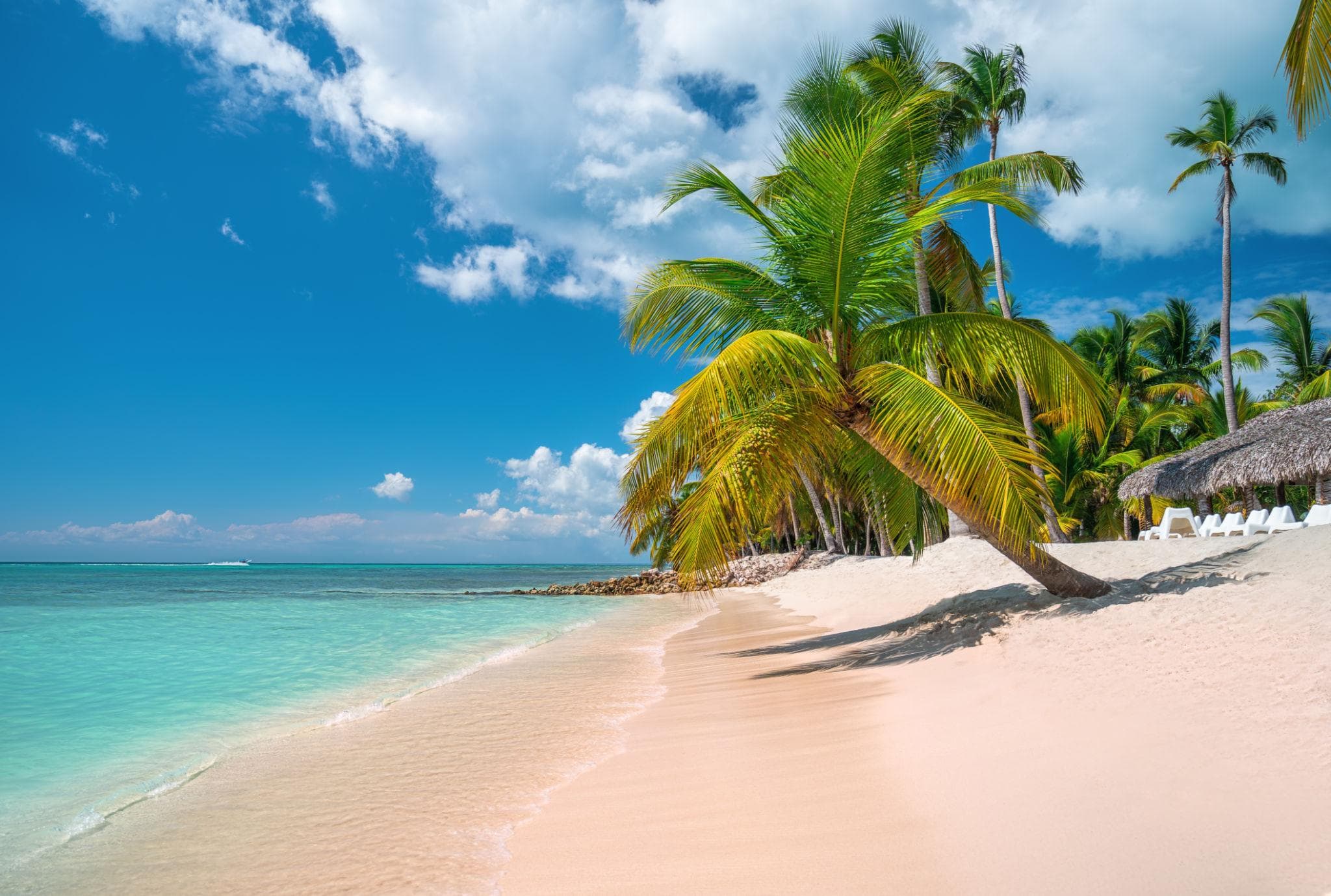 Top Tours in Dominican Republic | Saona Island, Los Haitises & More