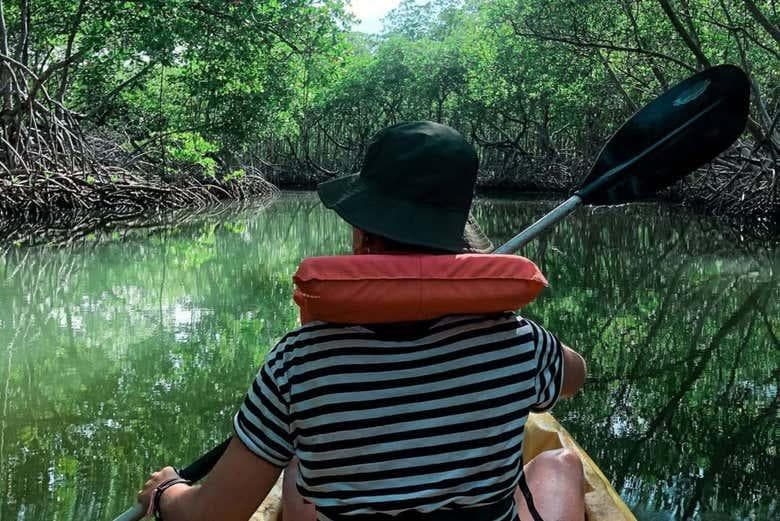 Los Haitises National Park by Kayak: A Solo Traveler’s Adventure in May 2026