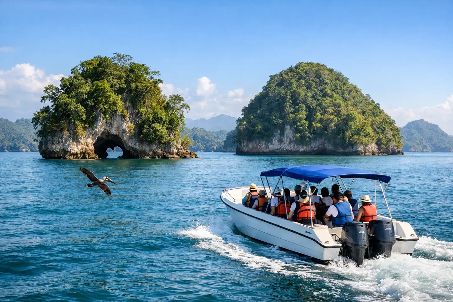 Half-Day Los Haitises NP Boat Tours from Samana - Los Haitises National Park Guide