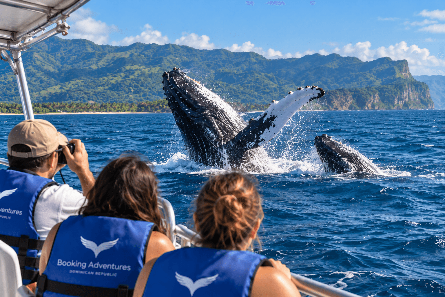 I migliori tour di osservazione delle balene a Samaná: quale tour dovresti prenotare?