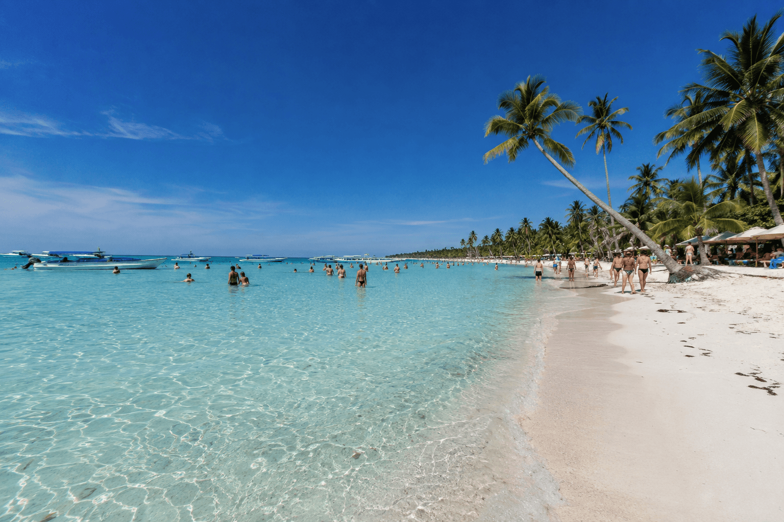 Saona Island Dominican Republic: Tours, Tips & Prices 2026